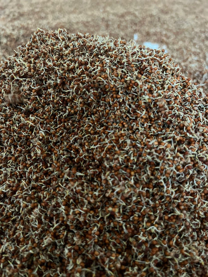 Sprouted Organic Ragi Flour